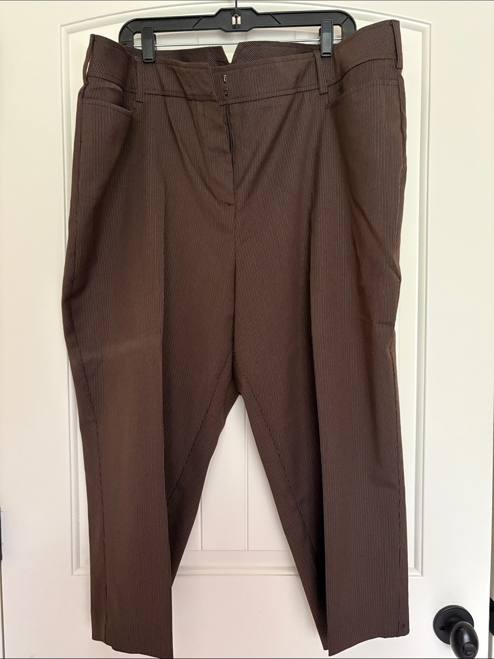 Women’s Lane Bryant Brown Tailored Dress Pants